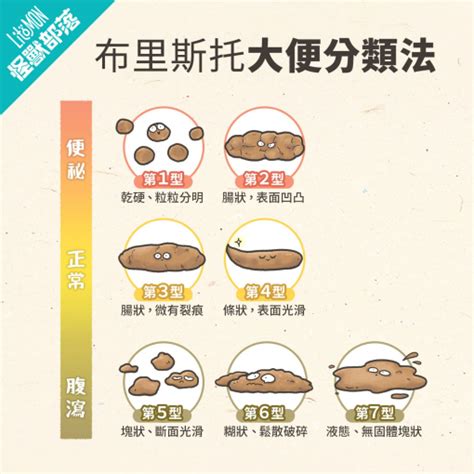 狗狗黃色大便|狗狗大便 透漏健康資訊？一張圖看懂狗狗便便健康程。